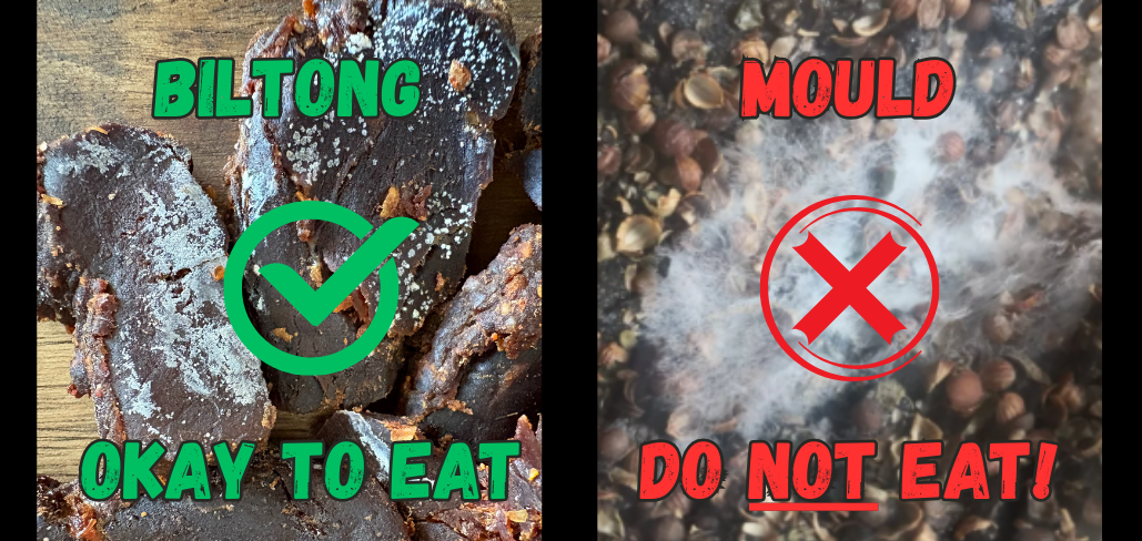 White Spots on Biltong: Safe to Eat or a Sign of Mould?